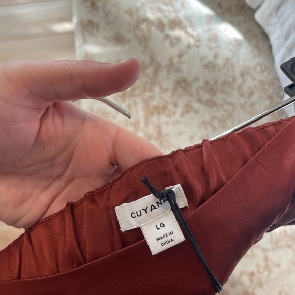 cuyana charmeuse wide leg silk pants terracotta 100% silk pockets warm red brown - Picture 7 of 8